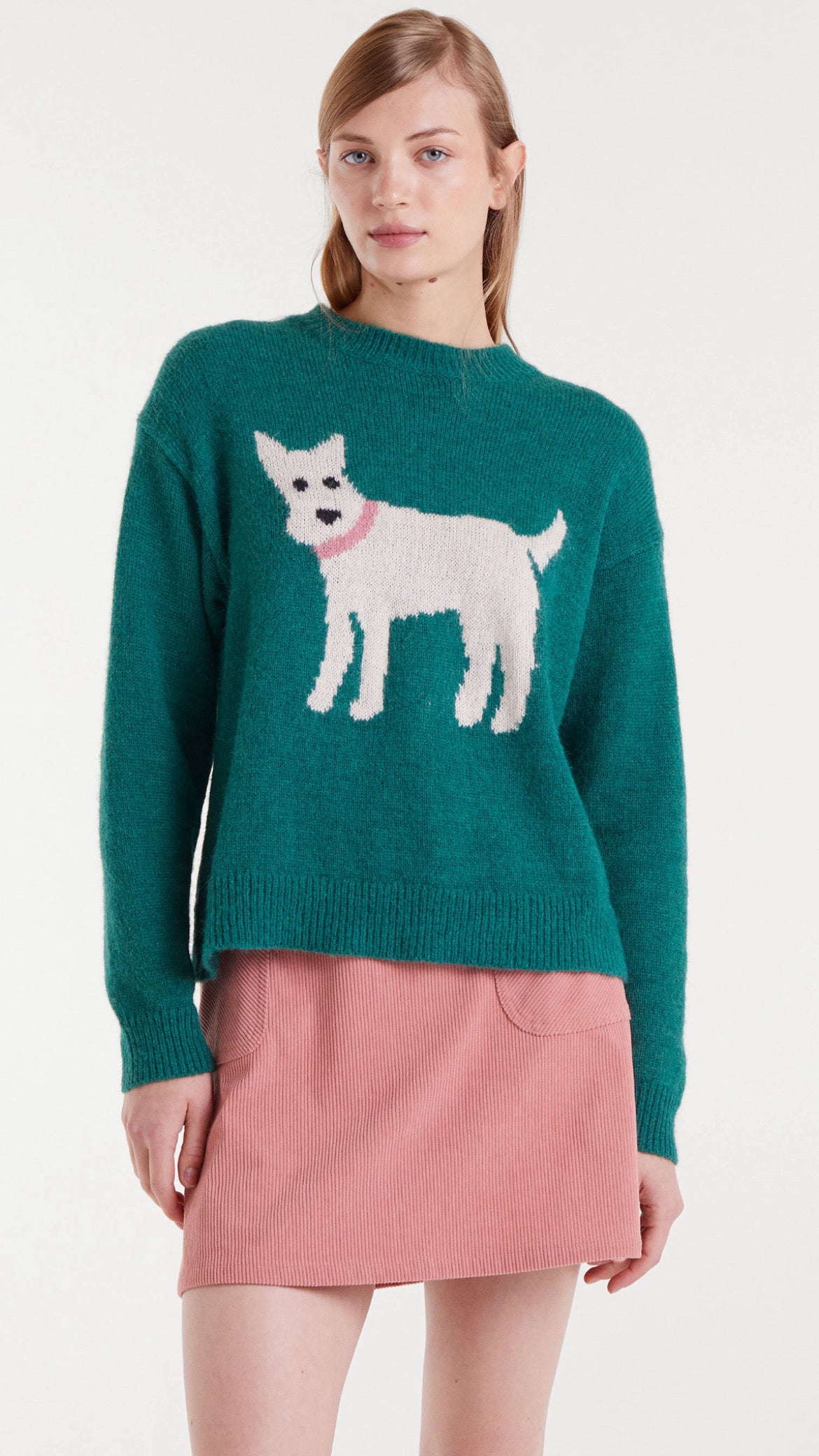 Jersey de punto jacquard con estampado de perro Schnauzer