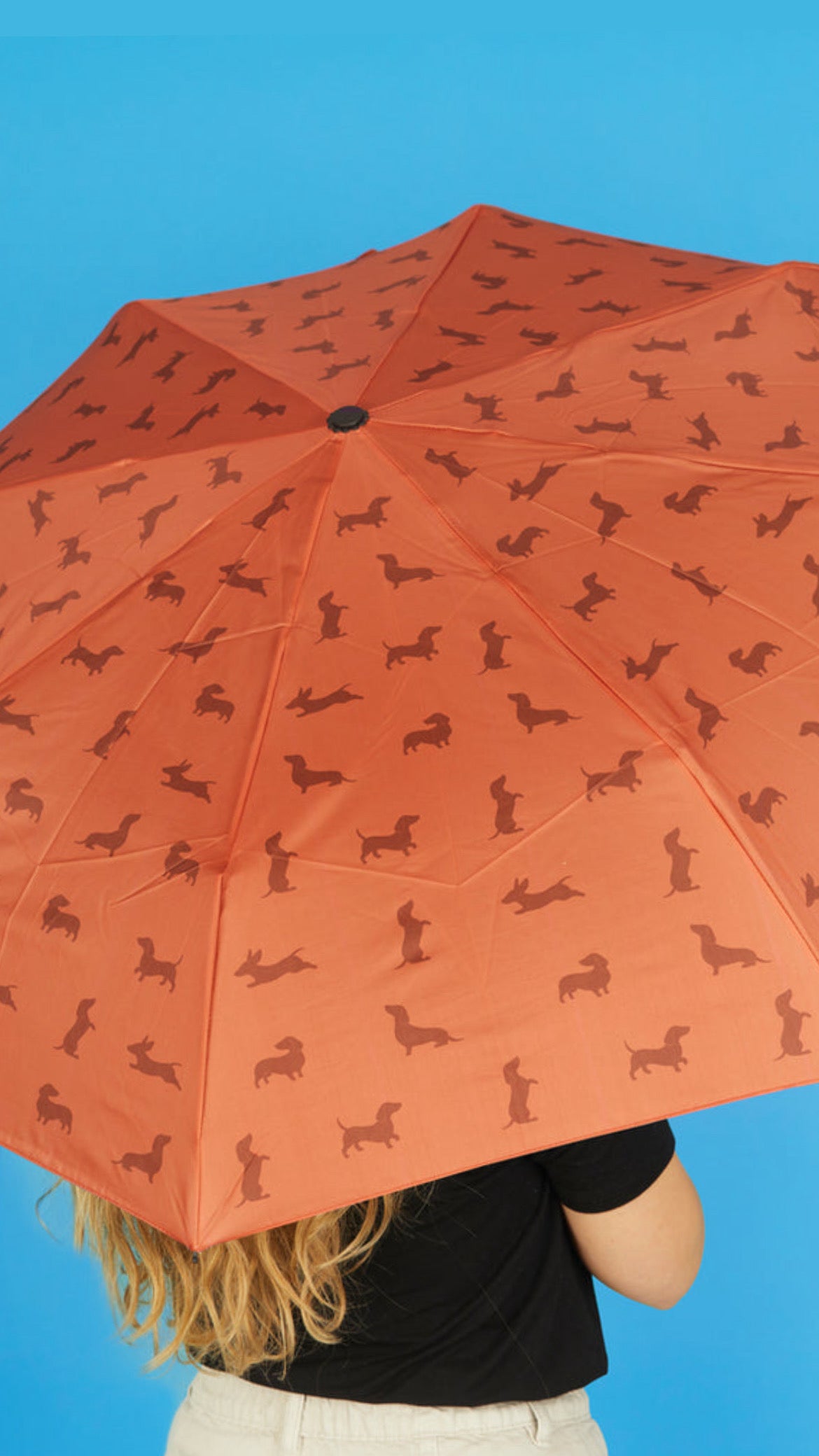 Paraguas Teckel Marrón