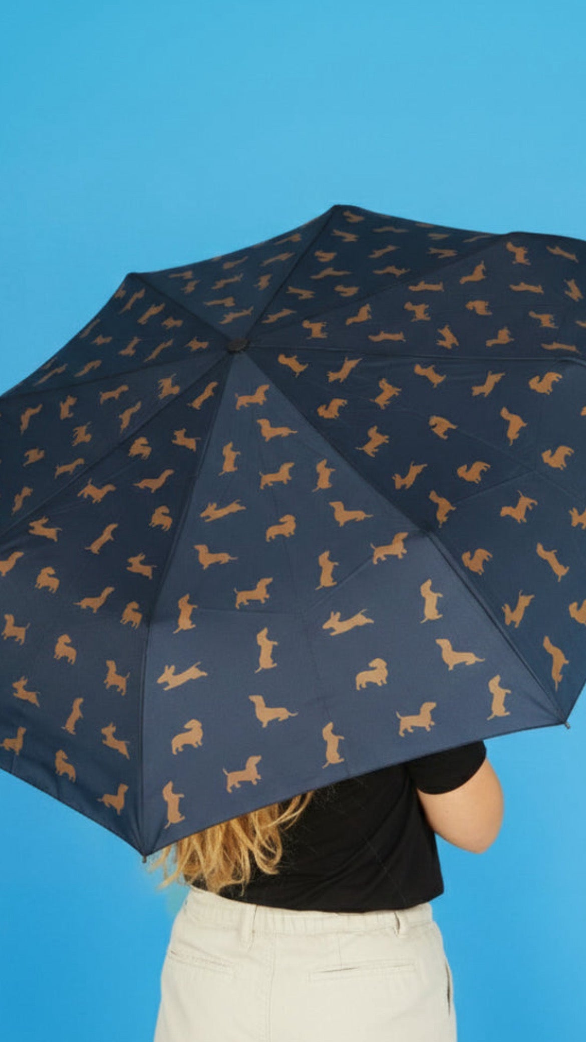 Paraguas Teckel Negro