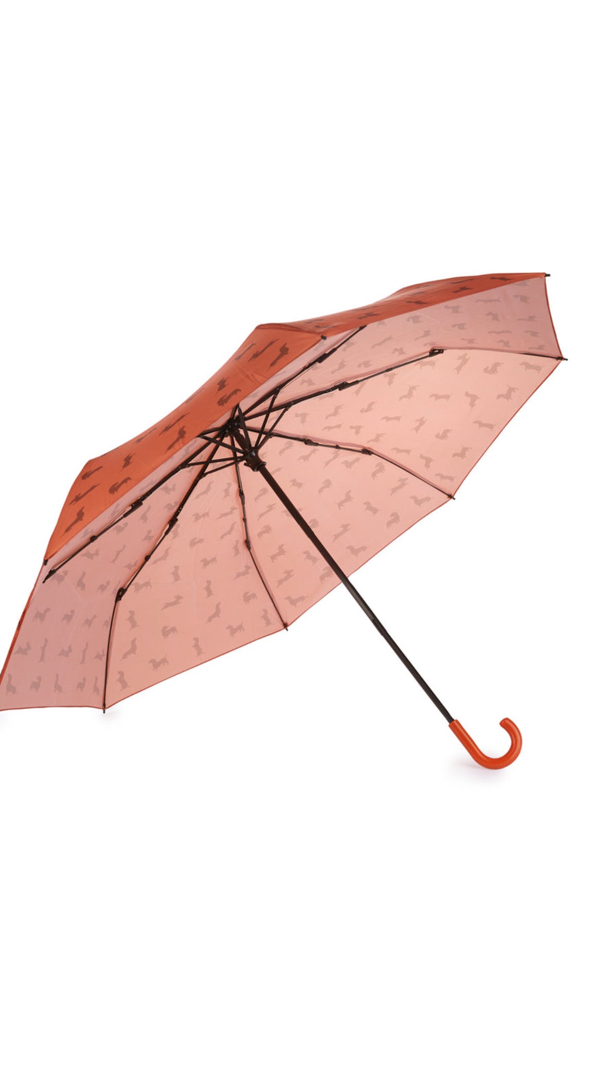 Paraguas Teckel Marrón