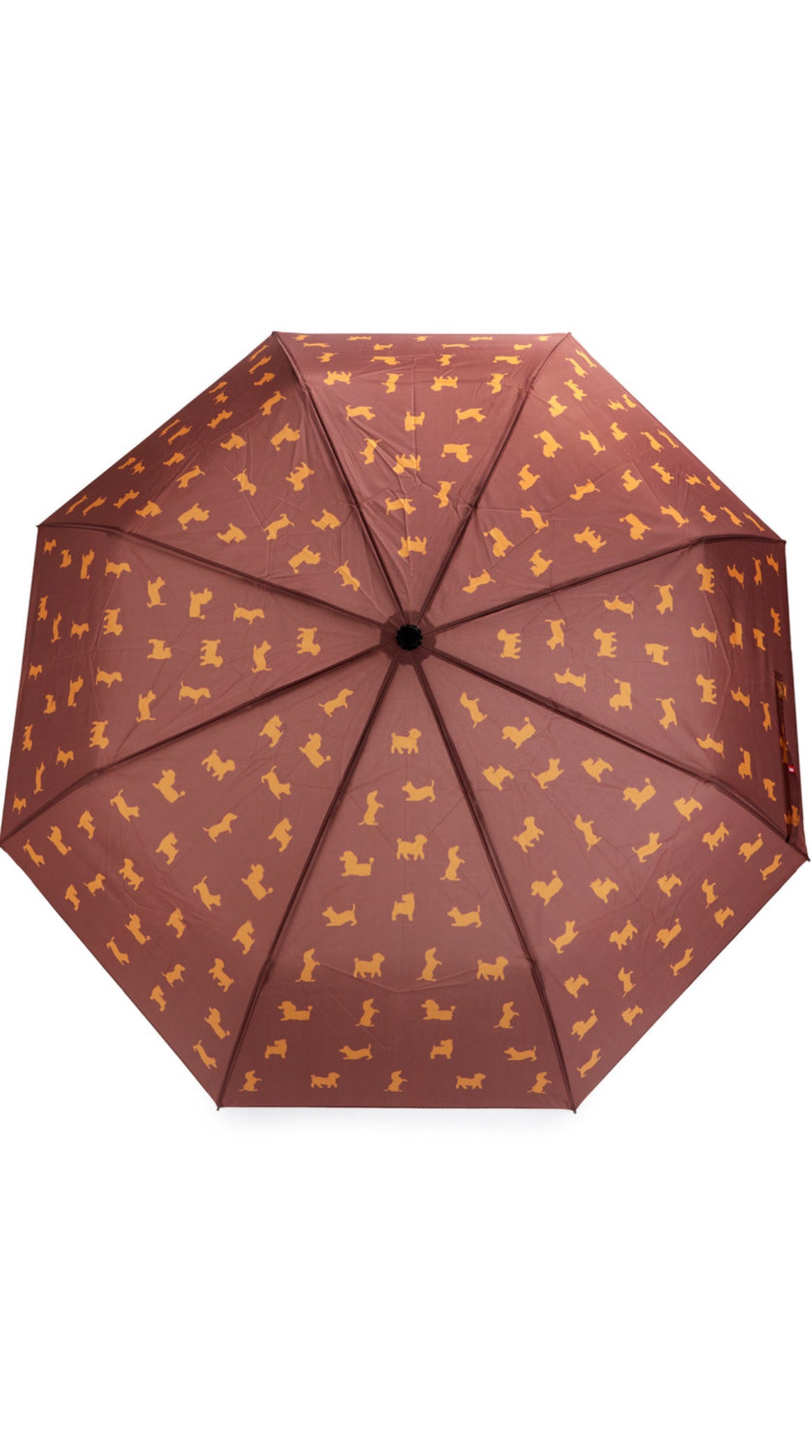 Paraguas Puppy Marrón
