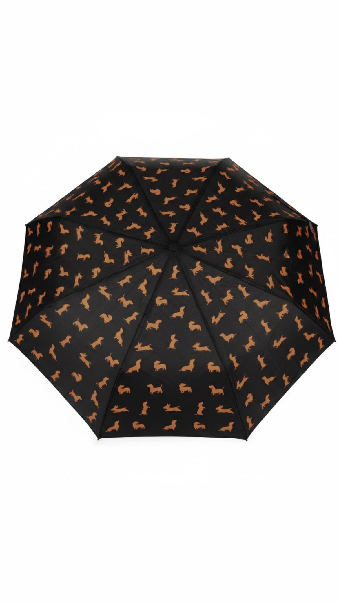 Paraguas Teckel Negro