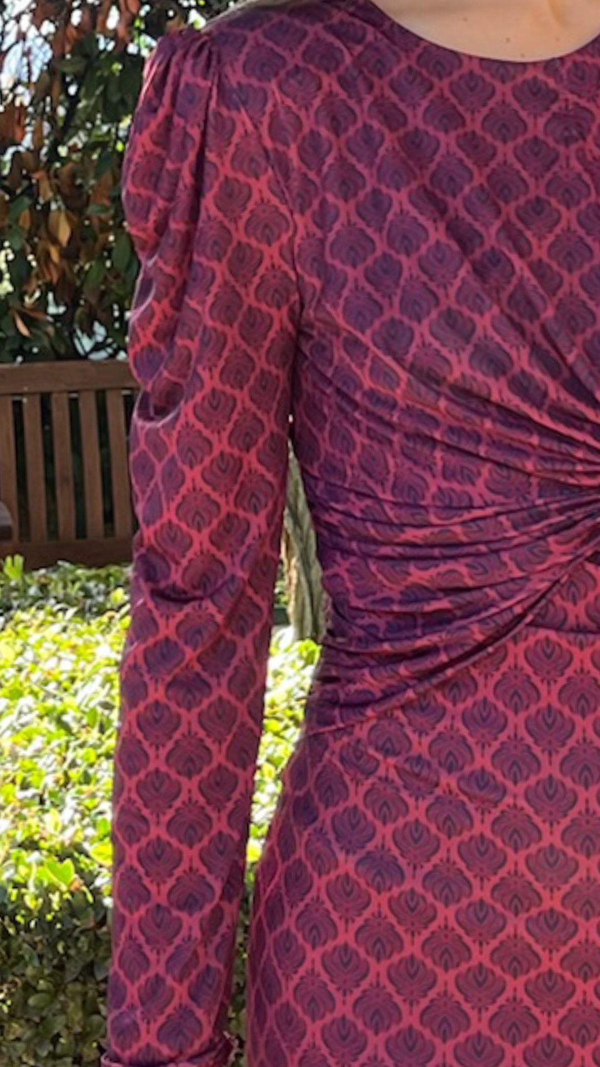 Edurne Burgundy Dress