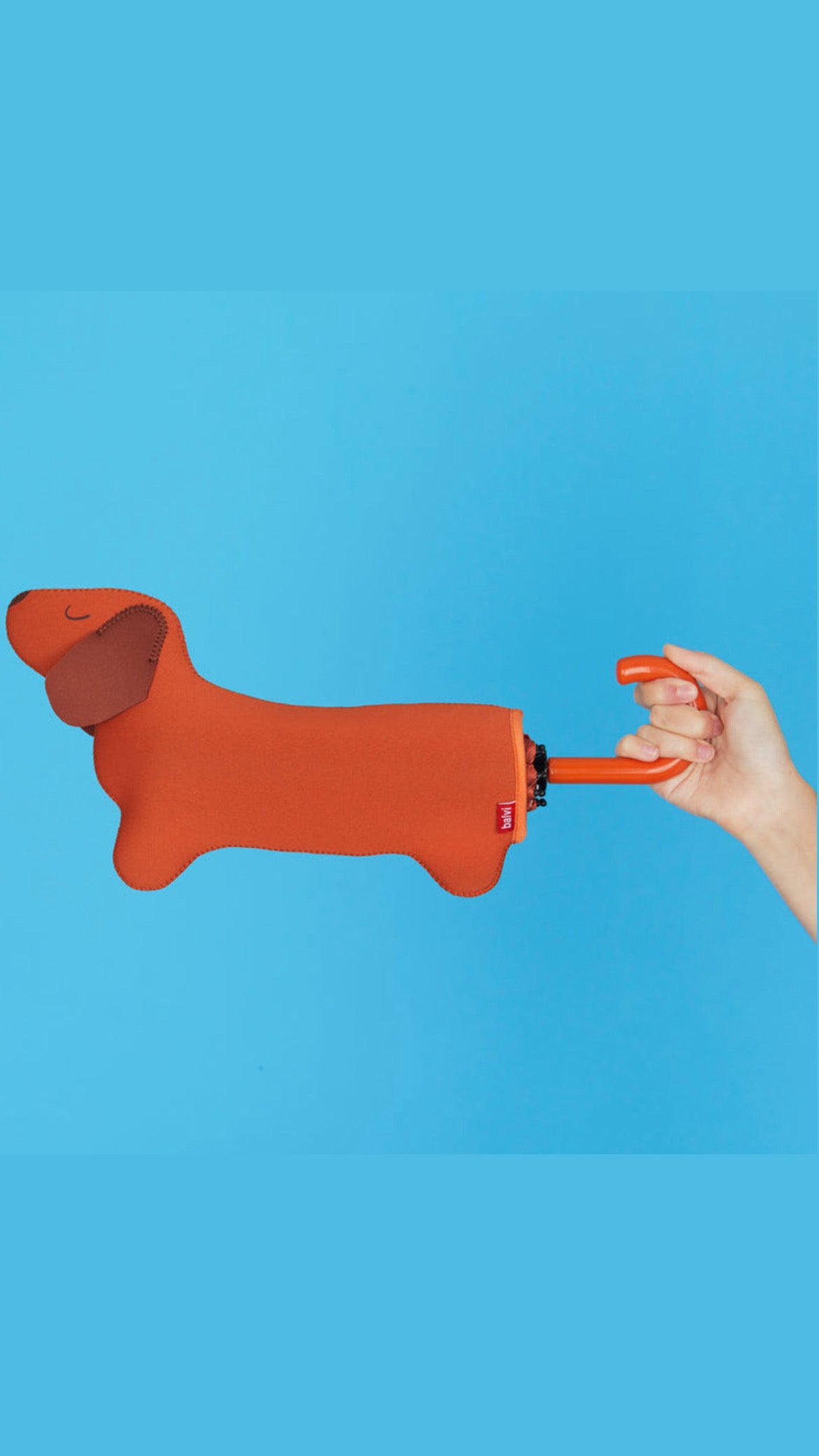 Paraguas Teckel Marrón