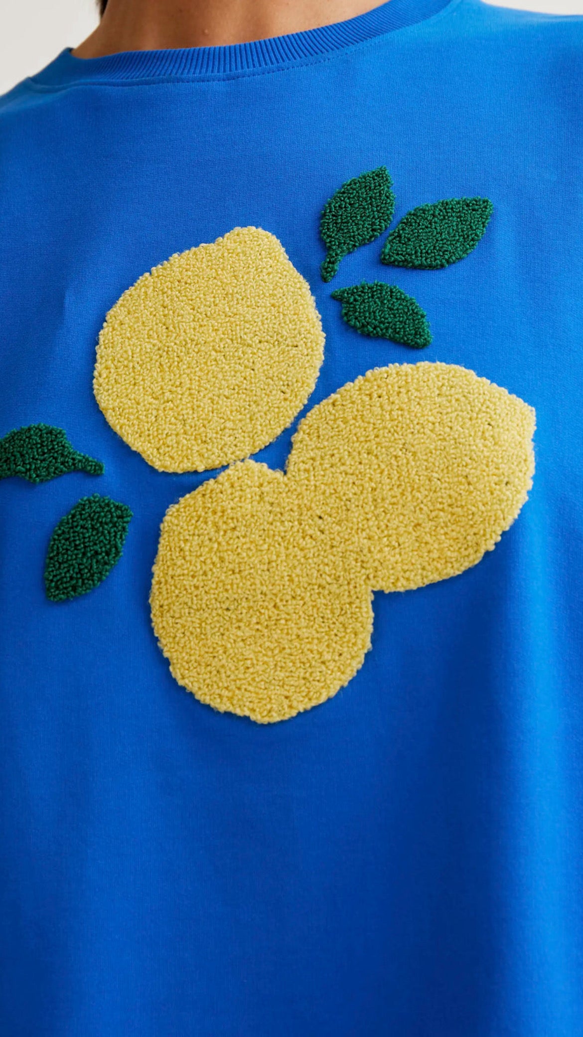 Sudadera con bordados de limones gigantes