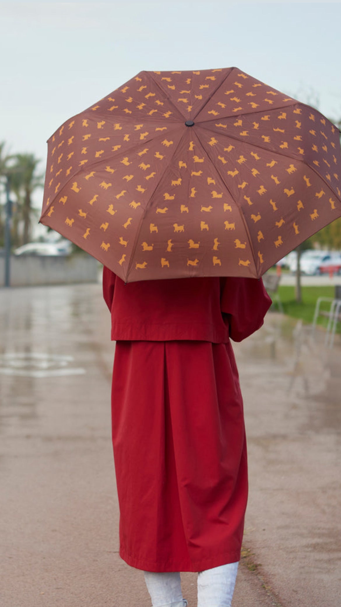 Paraguas Puppy Marrón