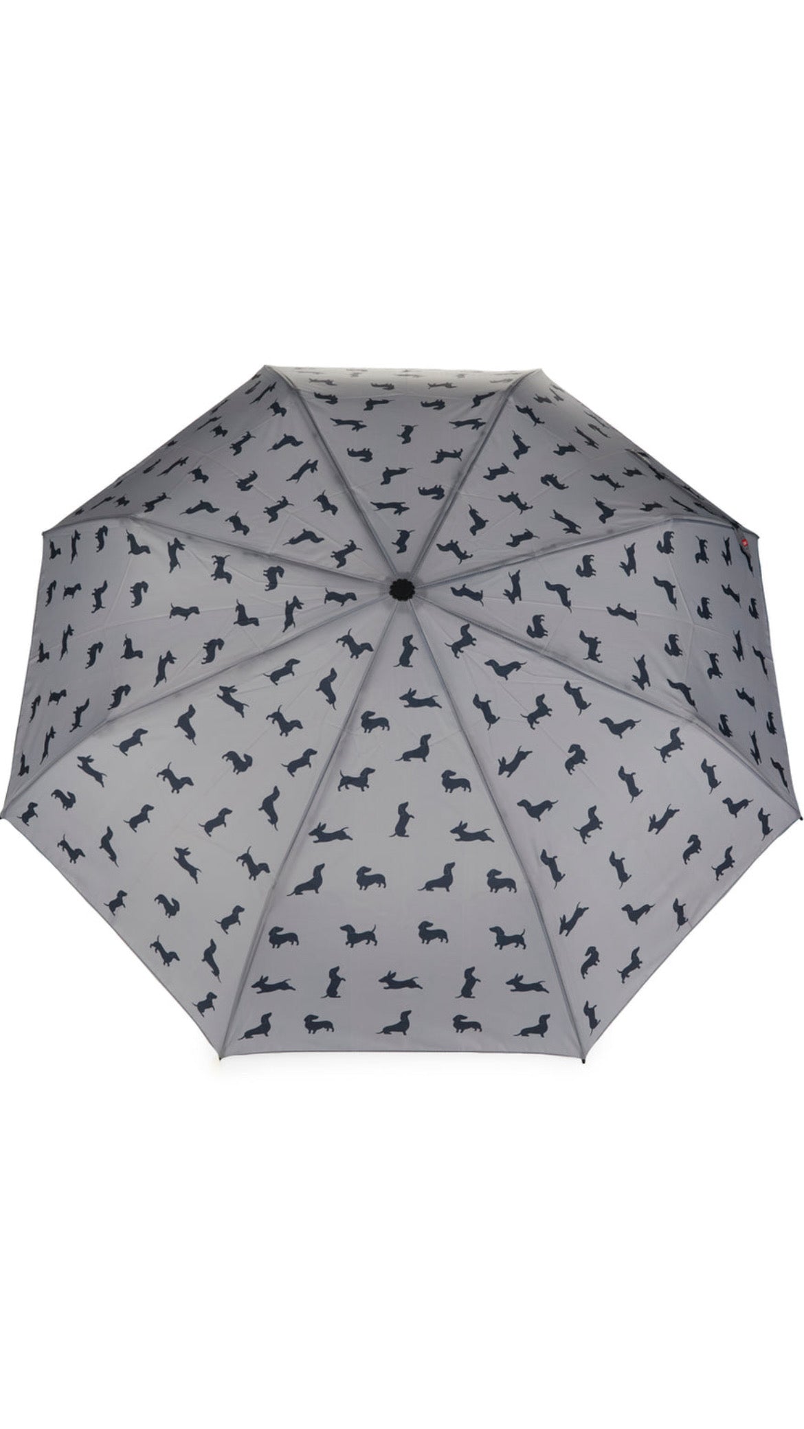 Paraguas Teckel Gris