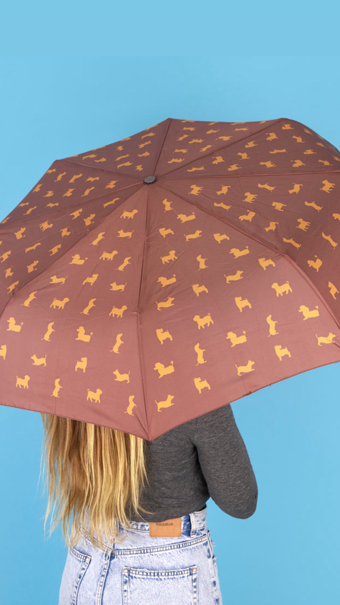 Paraguas Puppy Marrón