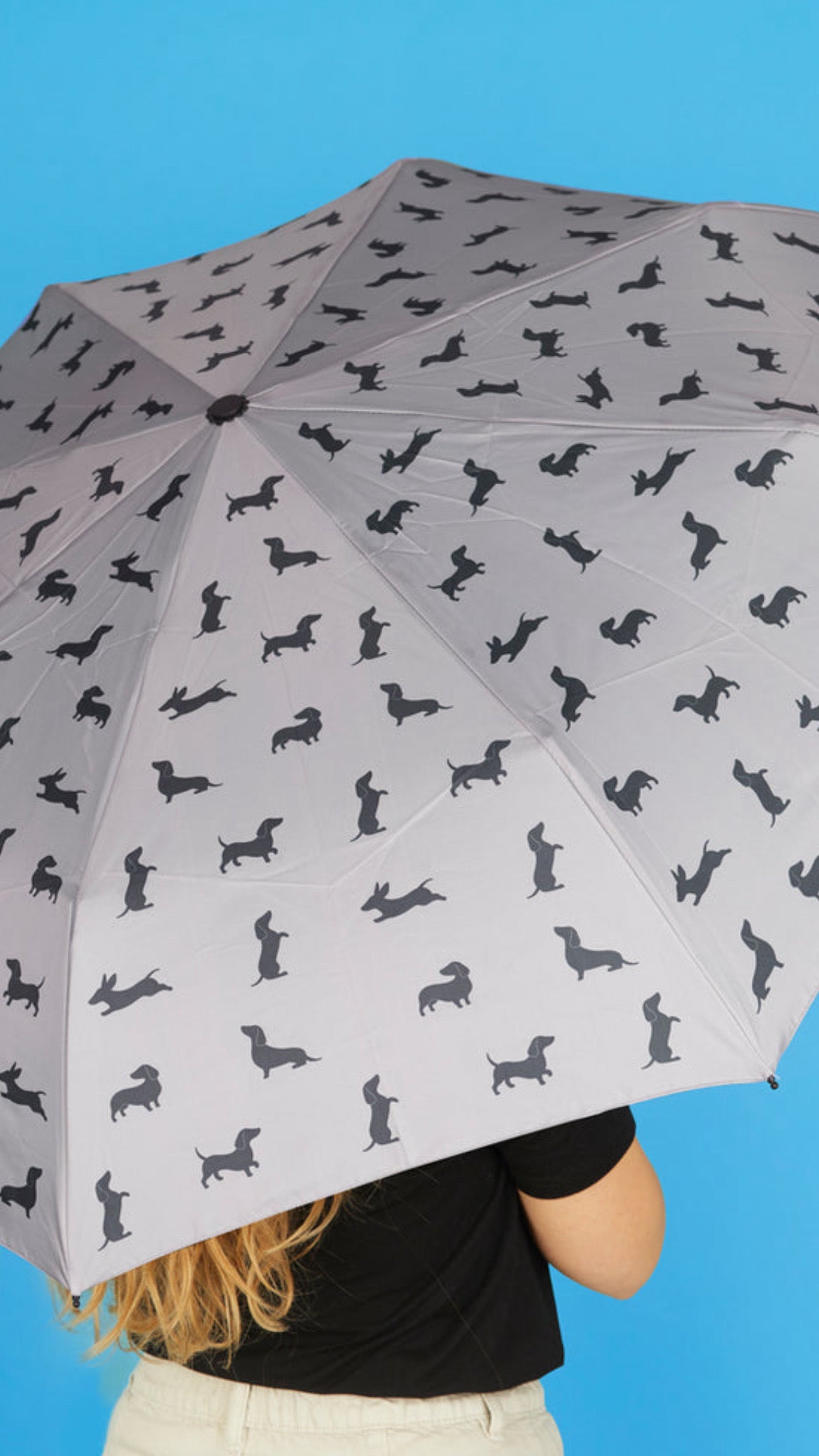 Paraguas Teckel Gris