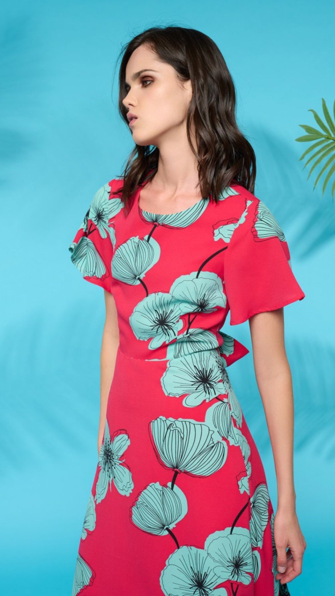 San Diego Dress